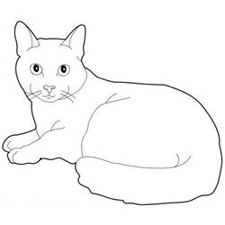 着色页: 猫 (动物) #1793 - 免费可打印着色页