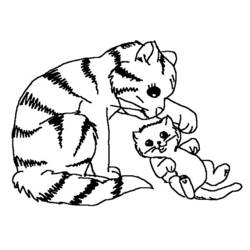 着色页: 猫 (动物) #1799 - 免费可打印着色页