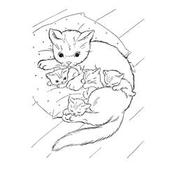 着色页: 猫 (动物) #1805 - 免费可打印着色页