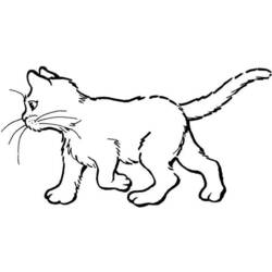 着色页: 猫 (动物) #1822 - 免费可打印着色页