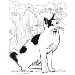 着色页: 猫 (动物) #1846 - 免费可打印着色页
