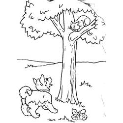 着色页: 猫 (动物) #1849 - 免费可打印着色页