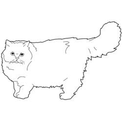 着色页: 猫 (动物) #1858 - 免费可打印着色页