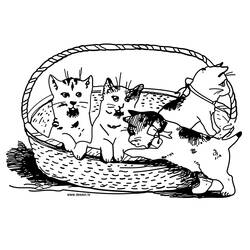 着色页: 猫 (动物) #1901 - 免费可打印着色页