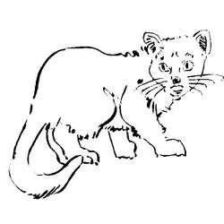 着色页: 猫 (动物) #1902 - 免费可打印着色页