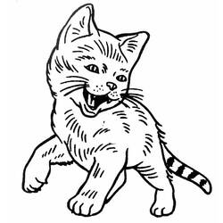 着色页: 猫 (动物) #1904 - 免费可打印着色页