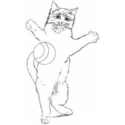 着色页: 猫 (动物) #1908 - 免费可打印着色页