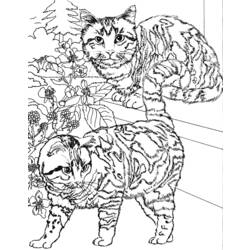 着色页: 猫 (动物) #1913 - 免费可打印着色页