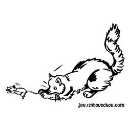 着色页: 猫 (动物) #1951 - 免费可打印着色页