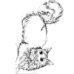 着色页: 猫 (动物) #1955 - 免费可打印着色页