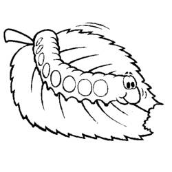 着色页: 毛虫 (动物) #18263 - 免费可打印着色页