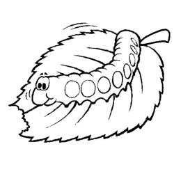 着色页: 毛虫 (动物) #18268 - 免费可打印着色页
