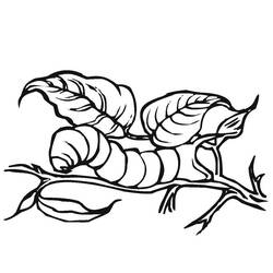 着色页: 毛虫 (动物) #18271 - 免费可打印着色页
