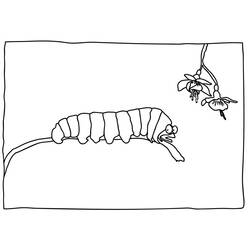 着色页: 毛虫 (动物) #18363 - 免费可打印着色页
