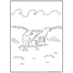 着色页: 猎豹 (动物) #7881 - 免费可打印着色页