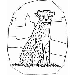 着色页: 猎豹 (动物) #7882 - 免费可打印着色页