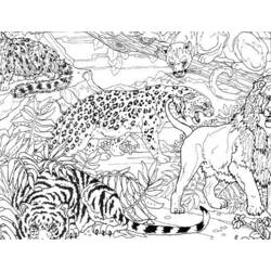 着色页: 猎豹 (动物) #7885 - 免费可打印着色页