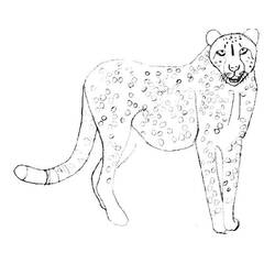 着色页: 猎豹 (动物) #7898 - 免费可打印着色页