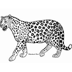 着色页: 猎豹 - 免费可打印的着色页