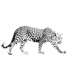 着色页: 猎豹 (动物) #7901 - 免费可打印着色页