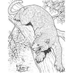着色页: 猎豹 (动物) #7919 - 免费可打印着色页