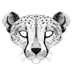 着色页: 猎豹 (动物) #7922 - 免费可打印着色页