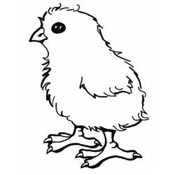 着色页: 小鸡 (动物) #15311 - 免费可打印着色页