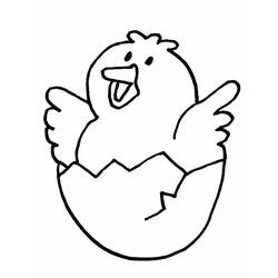 着色页: 小鸡 (动物) #15322 - 免费可打印着色页