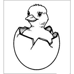 着色页: 小鸡 (动物) #15331 - 免费可打印着色页