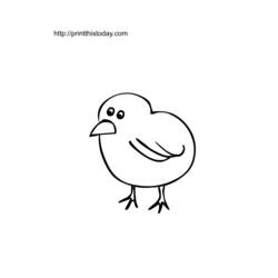 着色页: 小鸡 (动物) #15337 - 免费可打印着色页