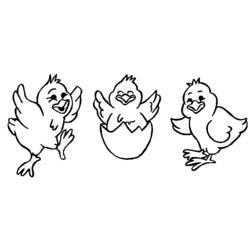 着色页: 小鸡 (动物) #15345 - 免费可打印着色页