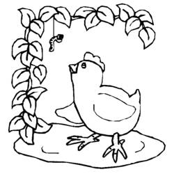 着色页: 小鸡 (动物) #15363 - 免费可打印着色页