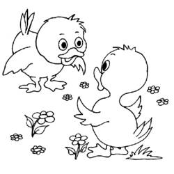 着色页: 小鸡 (动物) #15384 - 免费可打印着色页