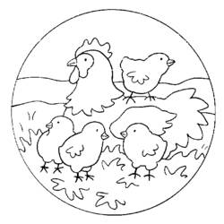 着色页: 小鸡 (动物) #15388 - 免费可打印着色页