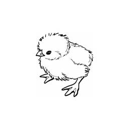 着色页: 小鸡 (动物) #15412 - 免费可打印着色页