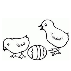 着色页: 小鸡 (动物) #15416 - 免费可打印着色页