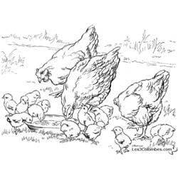 着色页: 小鸡 (动物) #15447 - 免费可打印着色页