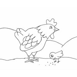 着色页: 鸡 (动物) #17222 - 免费可打印着色页