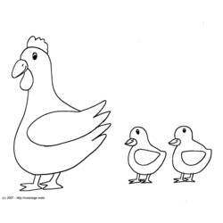 着色页: 鸡 (动物) #17238 - 免费可打印着色页