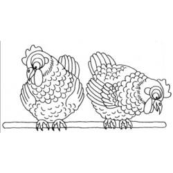 着色页: 鸡 (动物) #17278 - 免费可打印着色页