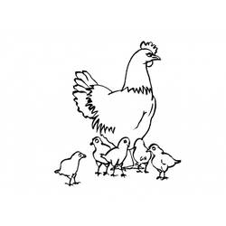 着色页: 鸡 (动物) #17281 - 免费可打印着色页