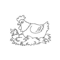 着色页: 鸡 (动物) #17295 - 免费可打印着色页