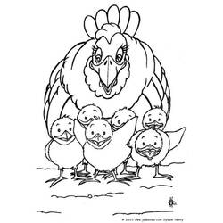 着色页: 鸡 (动物) #17310 - 免费可打印着色页