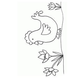 着色页: 鸡 (动物) #17316 - 免费可打印着色页