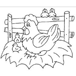 着色页: 鸡 (动物) #17325 - 免费可打印着色页