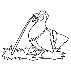 着色页: 鸡 (动物) #17342 - 免费可打印着色页