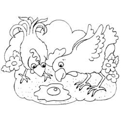 着色页: 鸡 (动物) #17348 - 免费可打印着色页