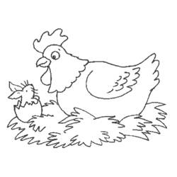 着色页: 鸡 (动物) #17350 - 免费可打印着色页