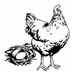 着色页: 鸡 (动物) #17368 - 免费可打印着色页