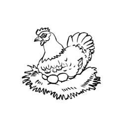 着色页: 鸡 (动物) #17397 - 免费可打印着色页
